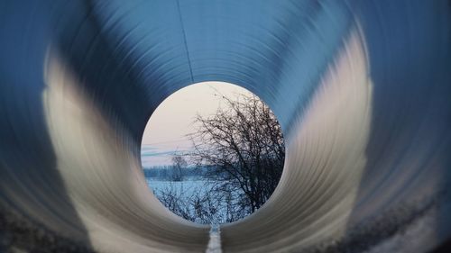Digital composite image of trees against sky
