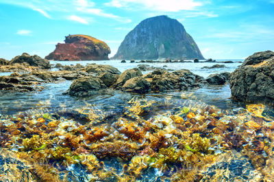 Rocks in sea against sky