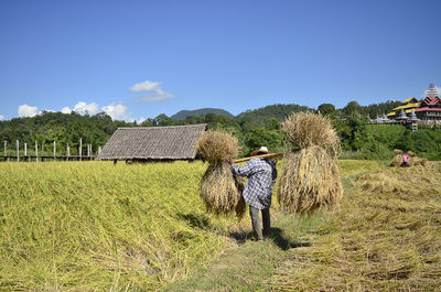 agriculture