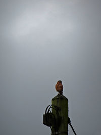 Low angle view of man standing against sky