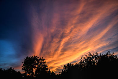 Low angle view of silhouette trees against dramatic sky