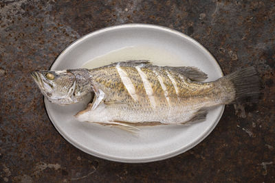 High angle view of fish in plate