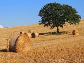 Hay bales and tree on field against sky