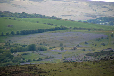 Scenic view of agricultural landscape