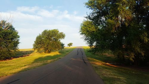 Empty road along trees