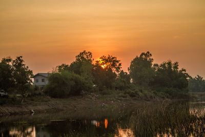 Trees and plants by lake against sky during sunset