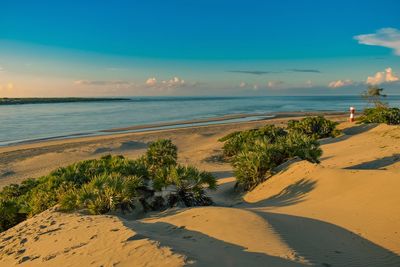 Sunrise view of sand dunes at shela beach, lamu island, unesco world heritage site in kenya