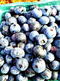 Full frame shot of blueberries