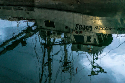 Reflection of trees in water