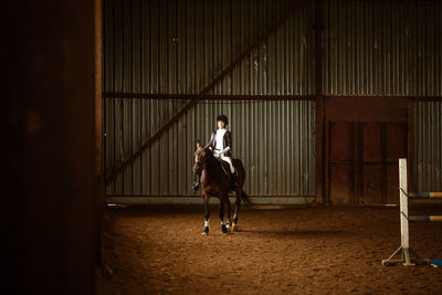 Girl riding a horse. rider on a horse gallop. equestrian sport concept.