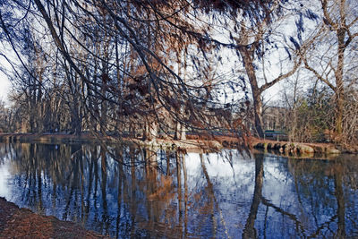 Reflection of bare trees in lake against sky