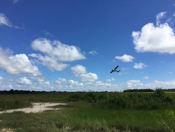 Airplane flying over landscape