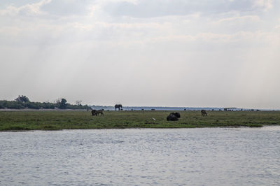 Scenic view of a lake against sky