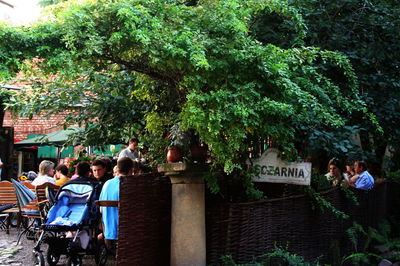 People sitting on table by tree