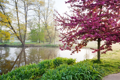 Scenic view of lake by trees against sky