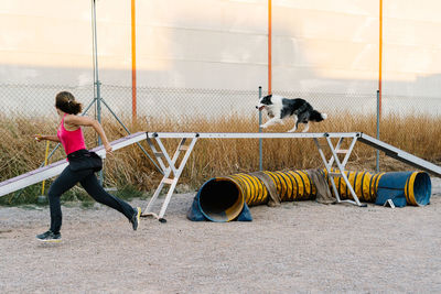 Obedient purebred border collie dog running during agility training with unrecognizable female instructor