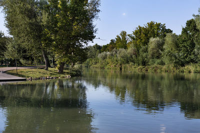 Scenic view of lake in forest against sky