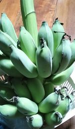 Close-up of succulent plant