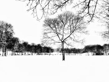 Silhouette trees by lake against clear sky