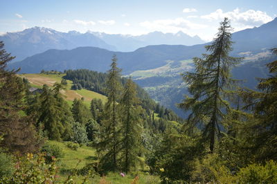 Scenic view of trees and mountains against sky