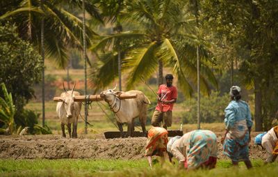 Rear view of people standing at farm