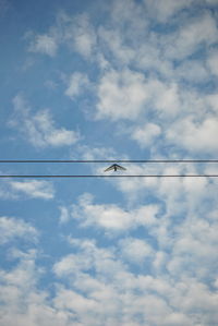 Low angle view of power lines against blue sky