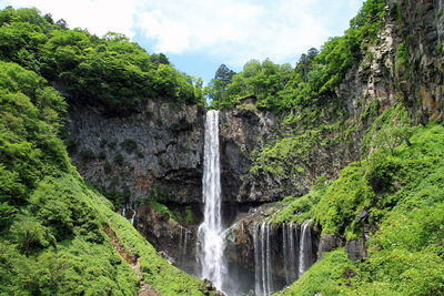 Scenic view of waterfall in forest