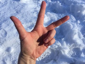 Cropped hand gesturing over snow covered field