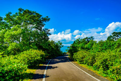 Road amidst trees against sky