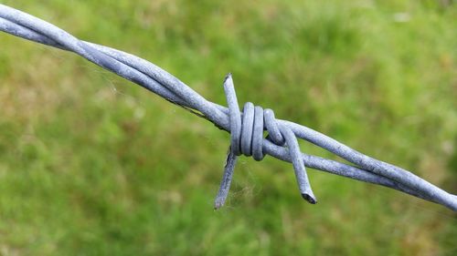 Close-up of barbed wire fence