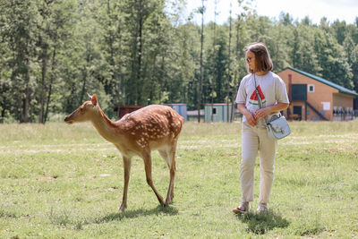 A girl feeding cute spotted deer bambi at petting zoo. 