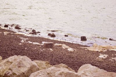 High angle view of sand at beach
