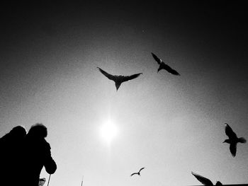 Low angle view of silhouette birds flying against clear sky