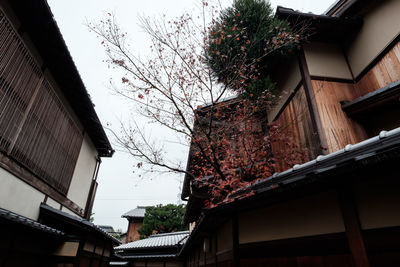 Low angle view of buildings in town