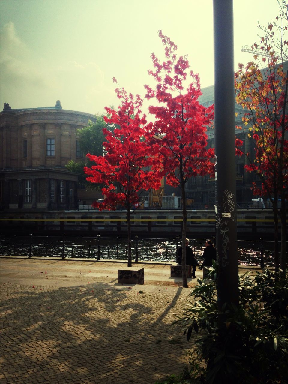 tree, architecture, built structure, building exterior, autumn, sky, city, park - man made space, growth, season, change, branch, nature, outdoors, railing, day, red, bench, flower, incidental people