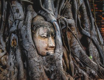 Sculpture of buddha on tree trunk