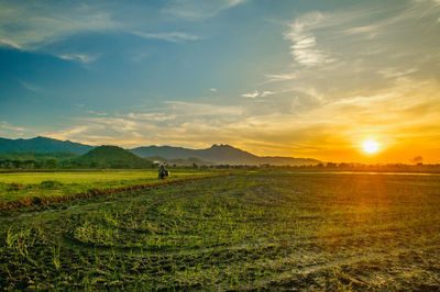 Scenic view of field against sky during sunset