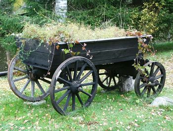 Bicycle parked on grassy field