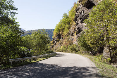 Road amidst trees against clear sky