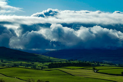 Scenic view of agricultural field against sky