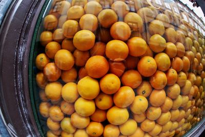 Close-up of fruits in market