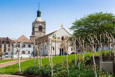 View of trees and buildings against sky