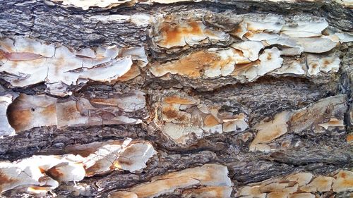 Full frame shot of stone wall