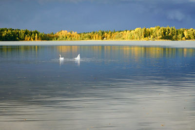 Scenic view of lake against sky