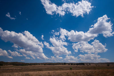 Scenic view of field against blue sky