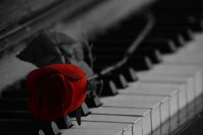 Close-up of red piano