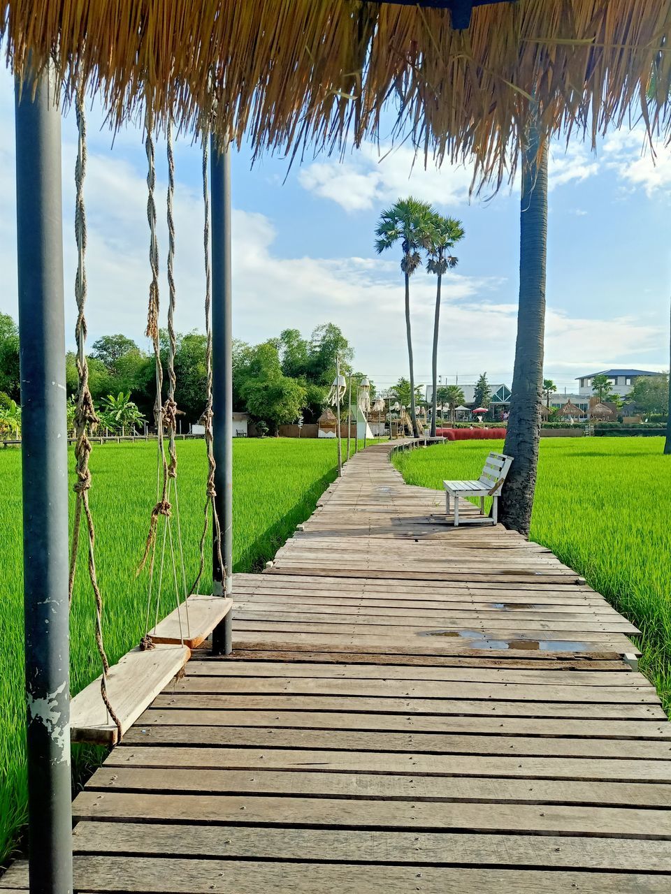 tropical climate, walkway, plant, palm tree, tree, nature, sky, beauty in nature, tranquility, land, grass, scenics - nature, tranquil scene, wood, footpath, architecture, the way forward, landscape, water, no people, green, travel destinations, idyllic, vacation, trip, estate, holiday, environment, day, summer, boardwalk, outdoors, built structure, beach, cloud, sunlight, tropical tree, travel, sea, relaxation, diminishing perspective, tourist resort, rural scene, thatched roof, non-urban scene, gazebo, horizon, resort, tourism, roof, coconut palm tree, field, blue, landscaped, seat