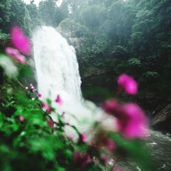 Scenic view of waterfall in forest