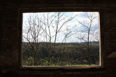 View of trees on landscape