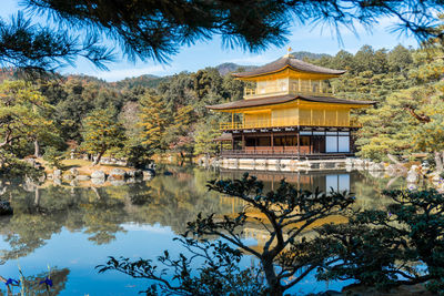 View of trees in a lake